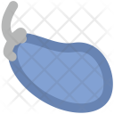 پیش‌نمایش فایل eggplant-24 از پک غذا ۱