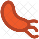 پیش‌نمایش فایل sperms-20 از پک علم ۳