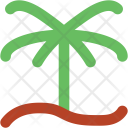 پیش‌نمایش فایل palm-55 از پک طبیعت ۳