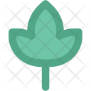 پیش‌نمایش فایل flower-646 از پک طبیعت ۲