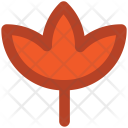 پیش‌نمایش فایل maple-45 از پک عشق و عاشقی ۳