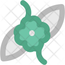 پیش‌نمایش فایل flower-660 از پک طبیعت ۱