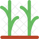 پیش‌نمایش فایل plant-242 از پک طبیعت ۱