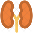 پیش‌نمایش فایل kidneys-32 از پک پزشکی ۲