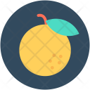 پیش‌نمایش فایل orange-174 از پک غذا ۲