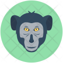پیش‌نمایش فایل baboon-2 از پک حیوانات ۱