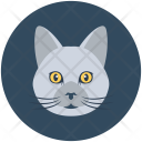 پیش‌نمایش فایل cat-114 از پک حیوانات ۱