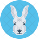 پیش‌نمایش فایل kangaroo-4 از پک حیوانات ۱