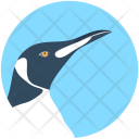 پیش‌نمایش فایل puffin از پک حیوانات ۱