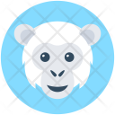 پیش‌نمایش فایل baboon-6 از پک حیوانات ۲