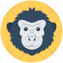پیش‌نمایش فایل baboon-7 از پک حیوانات ۲