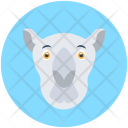 پیش‌نمایش فایل camel-36 از پک حیوانات ۲