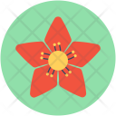 پیش‌نمایش فایل poinsettia-3 از پک آیکون دایره‌ای گل‌ها