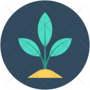پیش‌نمایش فایل sapling-2 از پک انرژی و نیرو ۱