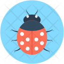 پیش‌نمایش فایل bug-106 از پک آموزش مدرن ۲