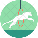 پیش‌نمایش فایل lion-12 از پک Circus 