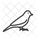 پیش‌نمایش فایل canary-3454483 از پک حیوانات خانگی