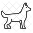 پیش‌نمایش فایل dog-3454488 از پک حیوانات خانگی