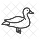 پیش‌نمایش فایل duck-3454490 از پک حیوانات خانگی