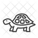 پیش‌نمایش فایل turtle-3454510 از پک حیوانات خانگی