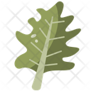 پیش‌نمایش فایل leaf-2973321 از پک شکرگزاری