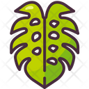 پیش‌نمایش فایل monstera-leaf-5355431 از پک تابستان