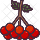 پیش‌نمایش فایل berry-2834931 از پک روز شکرگزاری