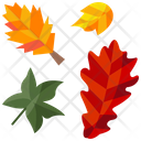 پیش‌نمایش فایل autumn-2834944 از پک روز شکرگزاری