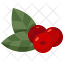 پیش‌نمایش فایل berries-2834954 از پک روز شکرگزاری