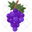 پیش‌نمایش فایل grapes-2834947 از پک روز شکرگزاری
