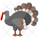 پیش‌نمایش فایل turkey-2834974 از پک روز شکرگزاری