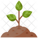 پیش‌نمایش فایل sprout-3332988 از پک بوم شناسی