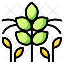 پیش‌نمایش فایل agronomy-plant-9932274 از پک بوم شناسی