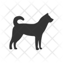 پیش‌نمایش فایل dog-4231648 از پک حیوان و وحشی