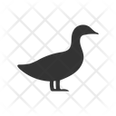 پیش‌نمایش فایل duck-4231656 از پک حیوان و وحشی