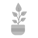 پیش‌نمایش فایل plant-7420196 از پک تحقیق و توسعه