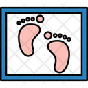 پیش‌نمایش فایل footprint-9555334 از پک زنان و زایمان