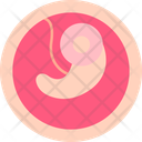 پیش‌نمایش فایل embryo-9555435 از پک زنان و زایمان