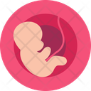پیش‌نمایش فایل fetus-9555439 از پک زنان و زایمان