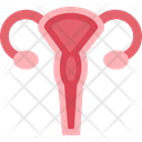 پیش‌نمایش فایل uterus-9555464 از پک زنان و زایمان