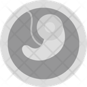 پیش‌نمایش فایل embryo-9555512 از پک زنان و زایمان