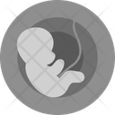 پیش‌نمایش فایل fetus-9555516 از پک زنان و زایمان