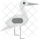 پیش‌نمایش فایل stork-9555534 از پک زنان و زایمان