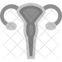 پیش‌نمایش فایل uterus-9555541 از پک زنان و زایمان