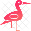 پیش‌نمایش فایل stork-9555697 از پک زنان و زایمان