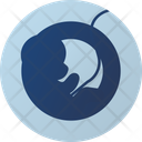 پیش‌نمایش فایل fetus-9555777 از پک زنان و زایمان