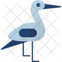 پیش‌نمایش فایل stork-9555795 از پک زنان و زایمان
