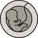 پیش‌نمایش فایل fetus-9555926 از پک زنان و زایمان
