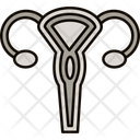 پیش‌نمایش فایل uterus-9555951 از پک زنان و زایمان
