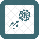 پیش‌نمایش فایل fertilization-9555978 از پک زنان و زایمان